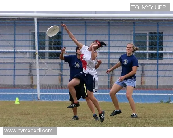 飞盘竞技的魅力与挑战：探寻北京飞盘队的战术与团队协作之道